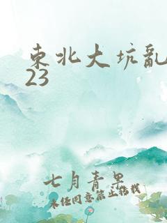 东北大坑乱1—23