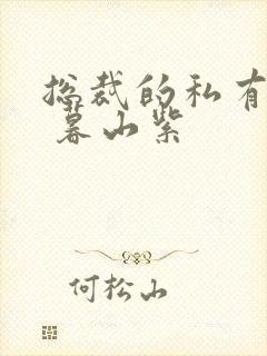 总裁的私有宝贝 暮山紫