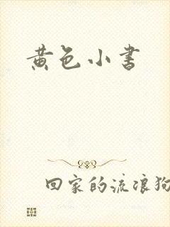 黄色小书
