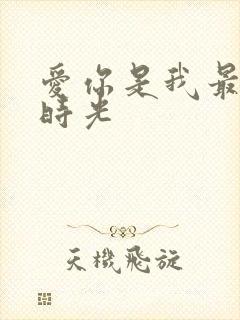 爱你是我最好的时光