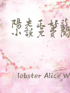 阳光正好苏玥玥小说免费阅读无弹窗