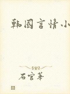 韩国言情小说