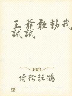 王爷敢动我妈咪试试