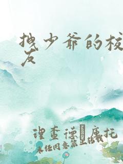 拽少爷的校花女友