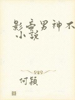 影帝男神不节制 小说