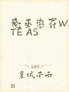 飞丞惩罚WRITE AS