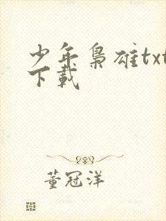 少年枭雄txt下载