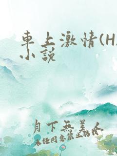 车上激情(H)小说