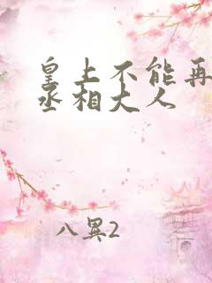 皇上不能再进了丞相大人