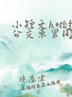 小短文h啪纯肉公交车男同