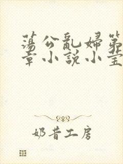 荡公乱妇第51章小说小莹