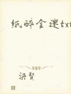 纸醉金迷txt