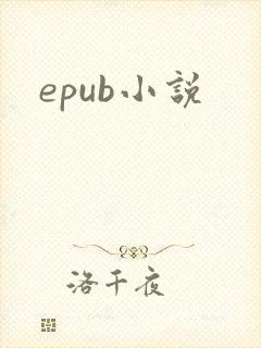 epub小说