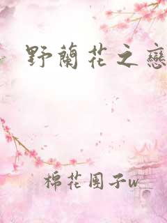 野兰花之恋