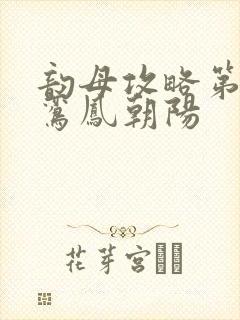 韵母攻略第二部鸾凤朝阳