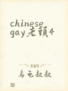 chinesegay老头4