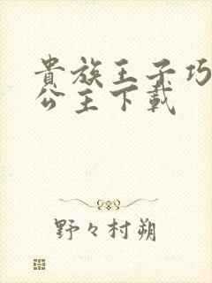 贵族王子巧遇穷公主下载