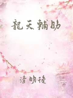 龙天辅助