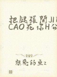 把腿张开JI巴CAO死你H公园