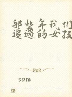 那些年我们一起追过的女孩小说