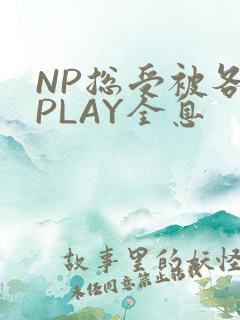 NP总受被各种PLAY全息