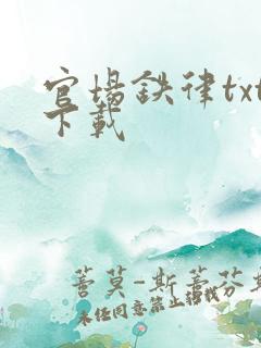 官场铁律txt下载