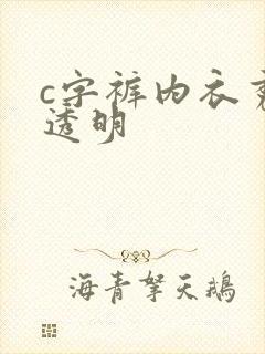 c字裤内衣秀全透明