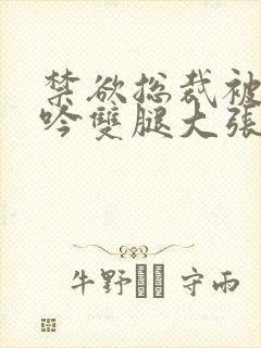 禁欲总裁被C呻吟双腿大张