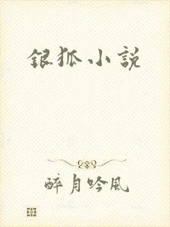 银狐小说