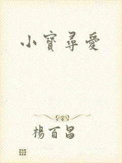 小宝寻爱