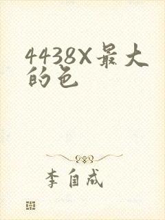 4438X最大的色