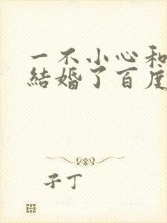 一不小心和醋精结婚了百度云