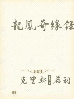 龙凤奇缘录
