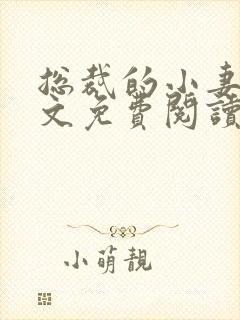 总裁的小妻子全文免费阅读