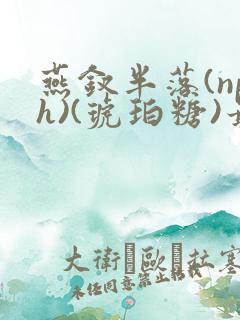 燕钗半落(nph)(琥珀糖)最新
