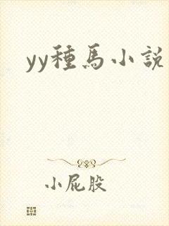 yy种马小说