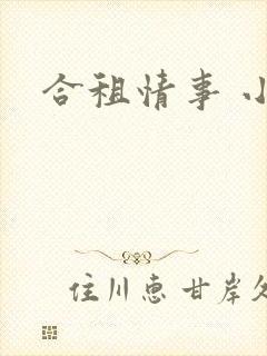 合租情事 小说