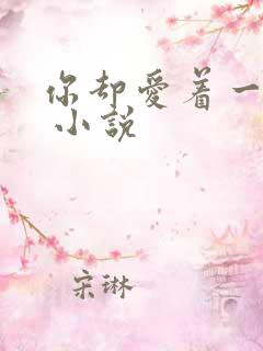 你却爱着一个他 小说