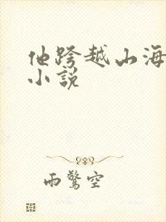他跨越山海而来小说