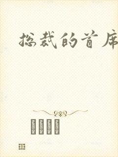 总裁的首席保姆