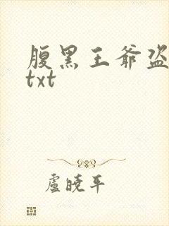 腹黑王爷盗墓妃txt
