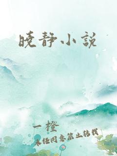 晓静小说
