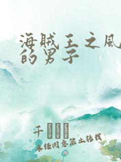 海贼王之风一样的男子