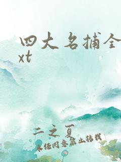 四大名捕全集txt