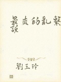 最爽的乱系列小说