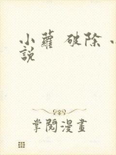 小萝 破除 小说
