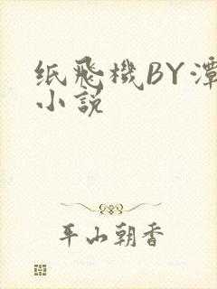 纸飞机BY潭石小说