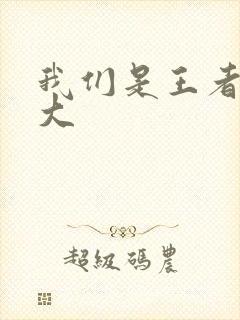 我们是王者立海大