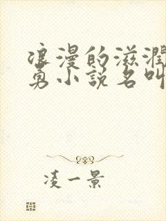 浪漫的滋润刘大勇小说名叫什么?