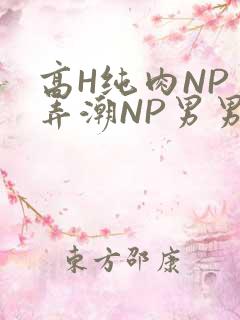 高H纯肉NP 弄潮NP男男